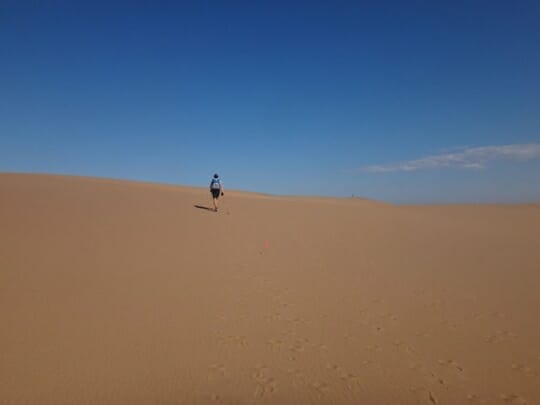 carolina monaci nel deserto