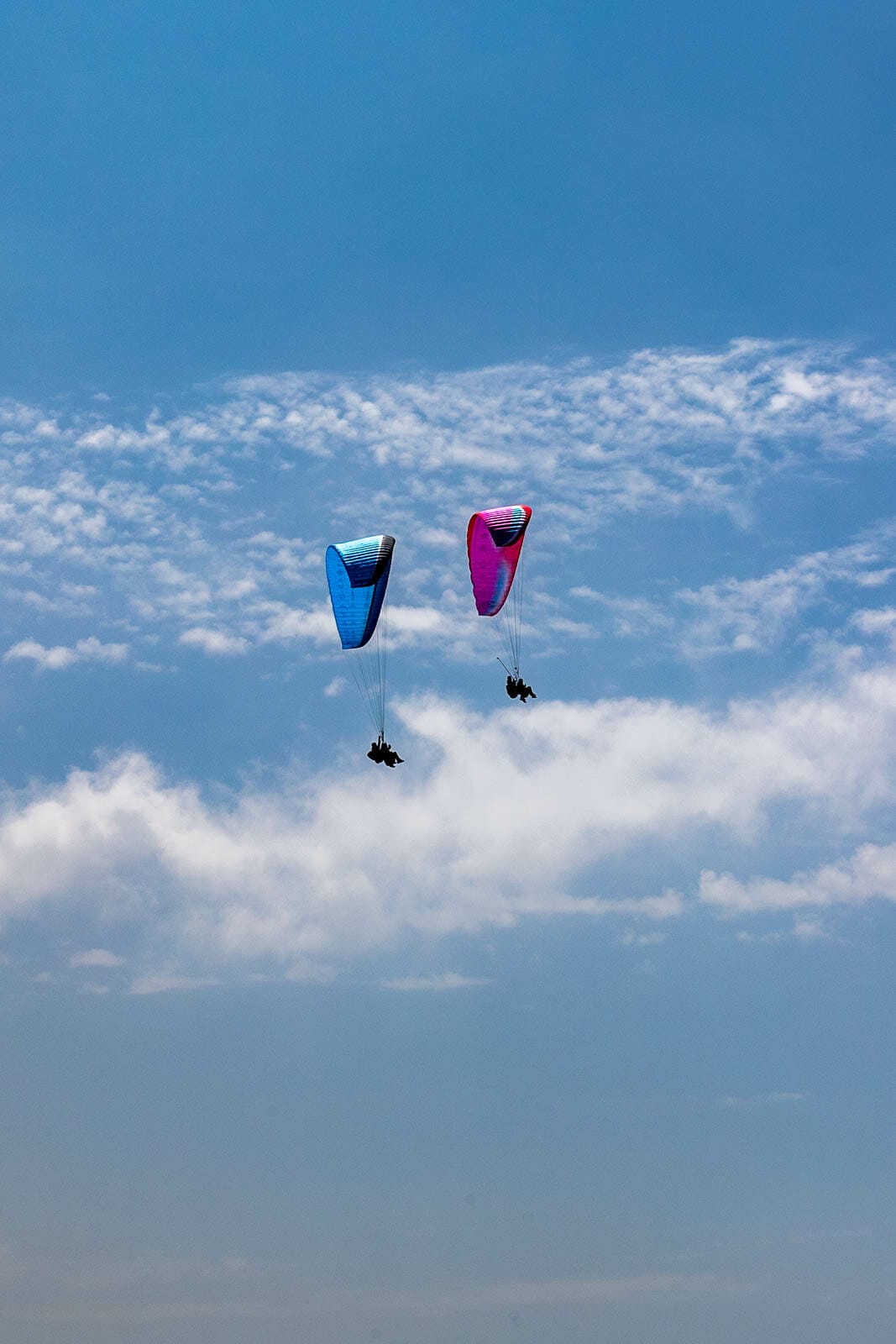 paragliders and sky