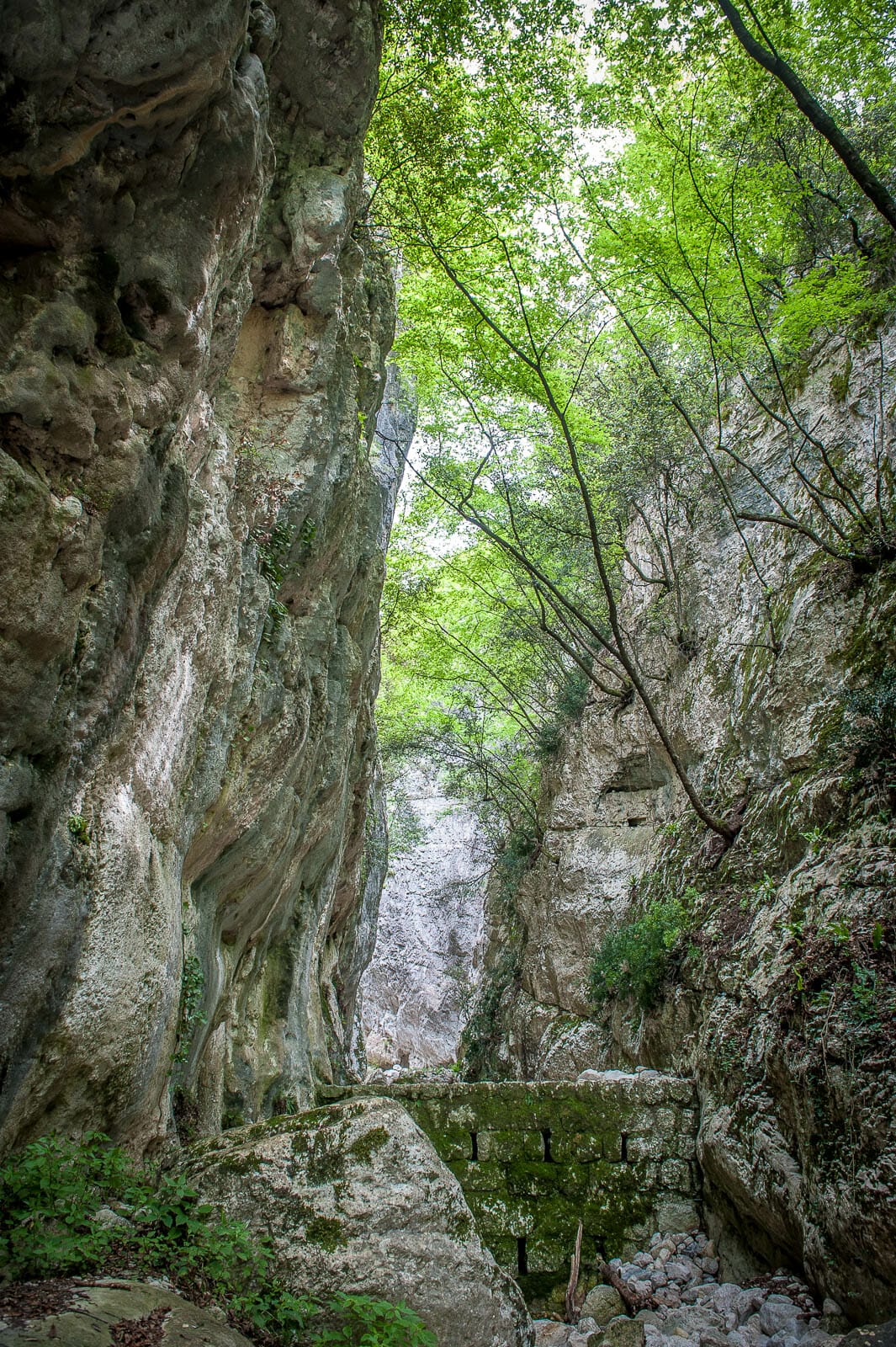 entrata sentiero per il balot tacà via