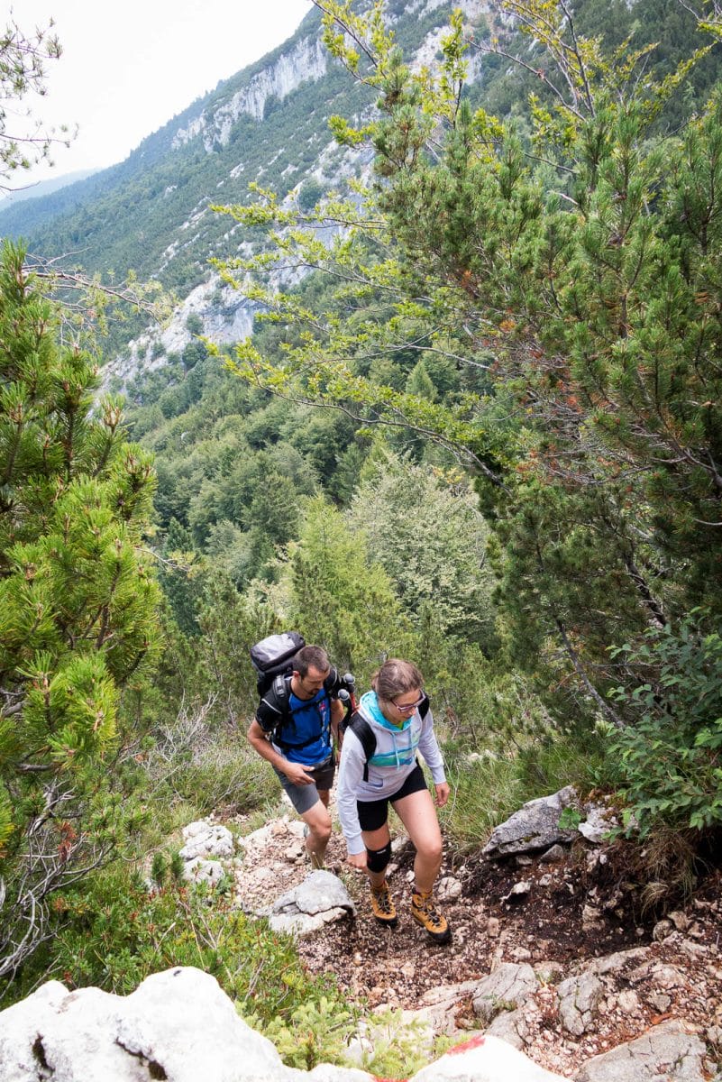 hiking to forcella valdritta in the forest