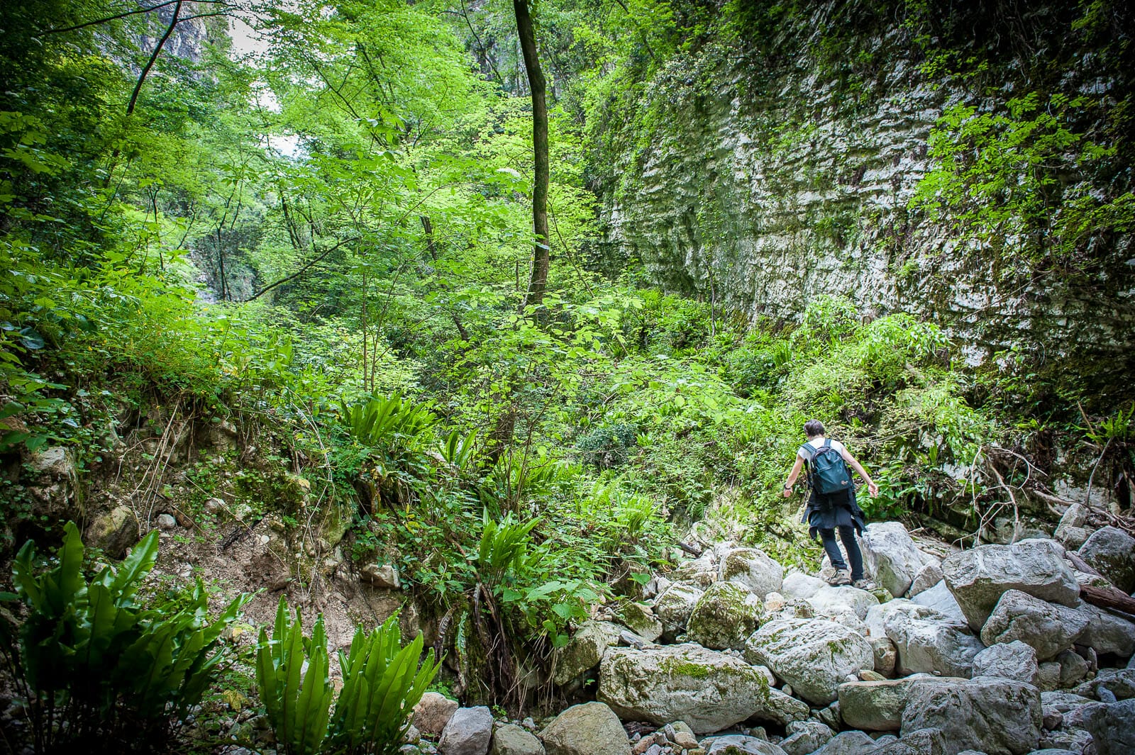 Ascent to balco tacà via in the wood