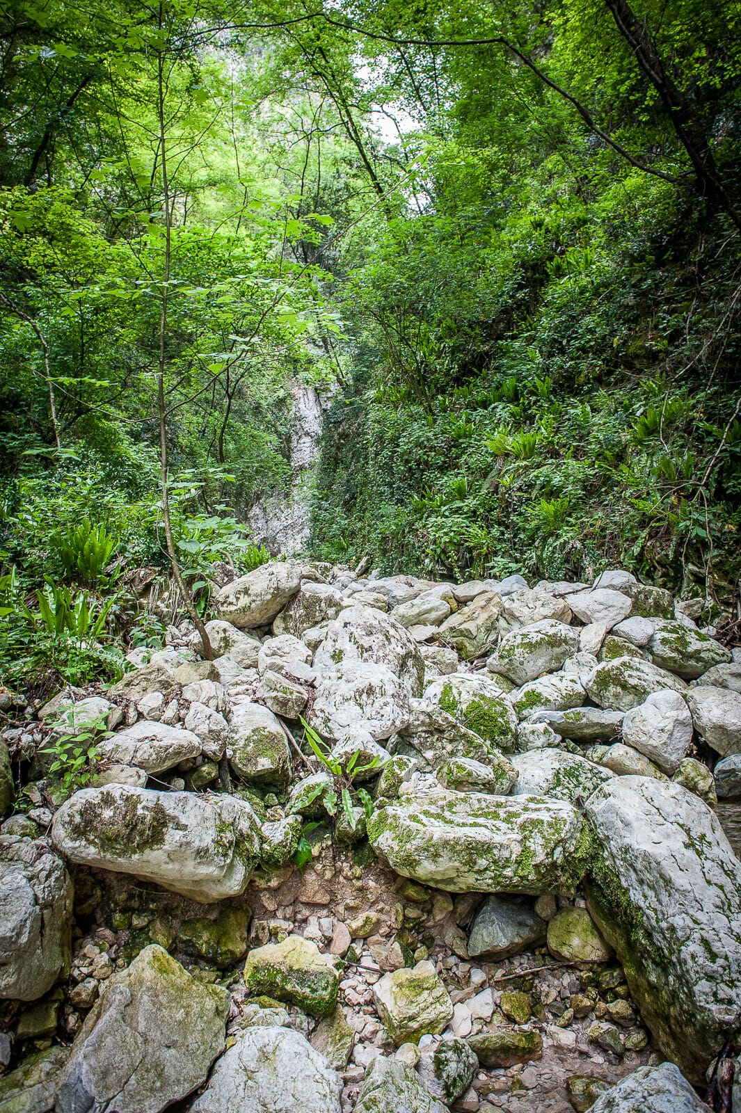 letto del fiume della val torrente