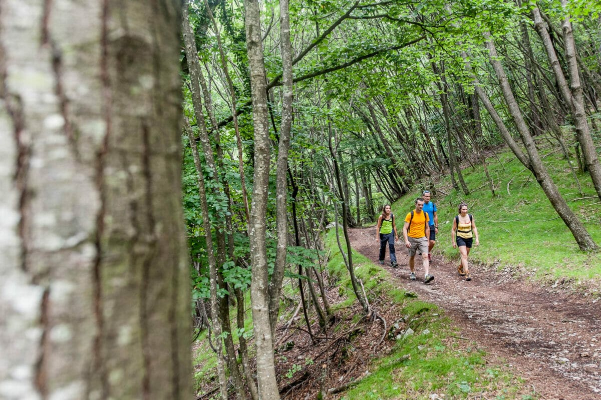 percorso nel bosco