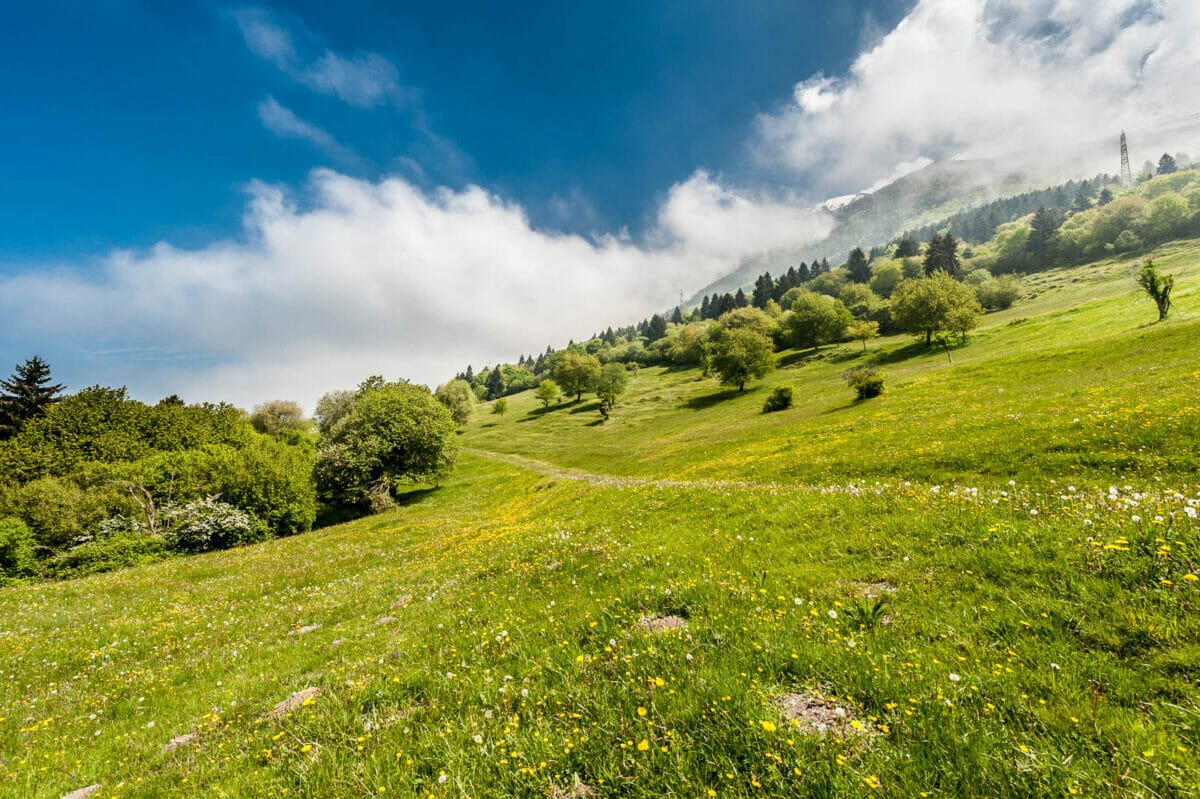 prati a brenzone a malga zovel