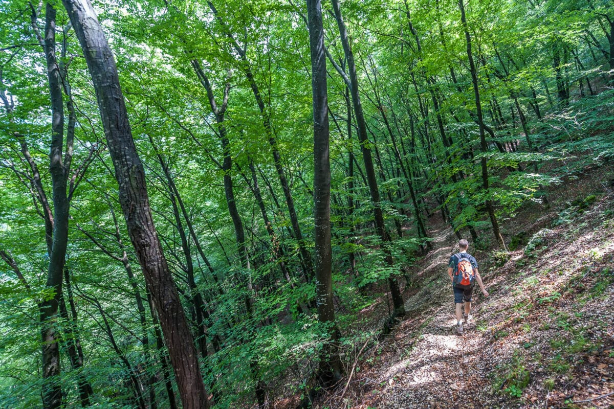 monte baldo trail 7