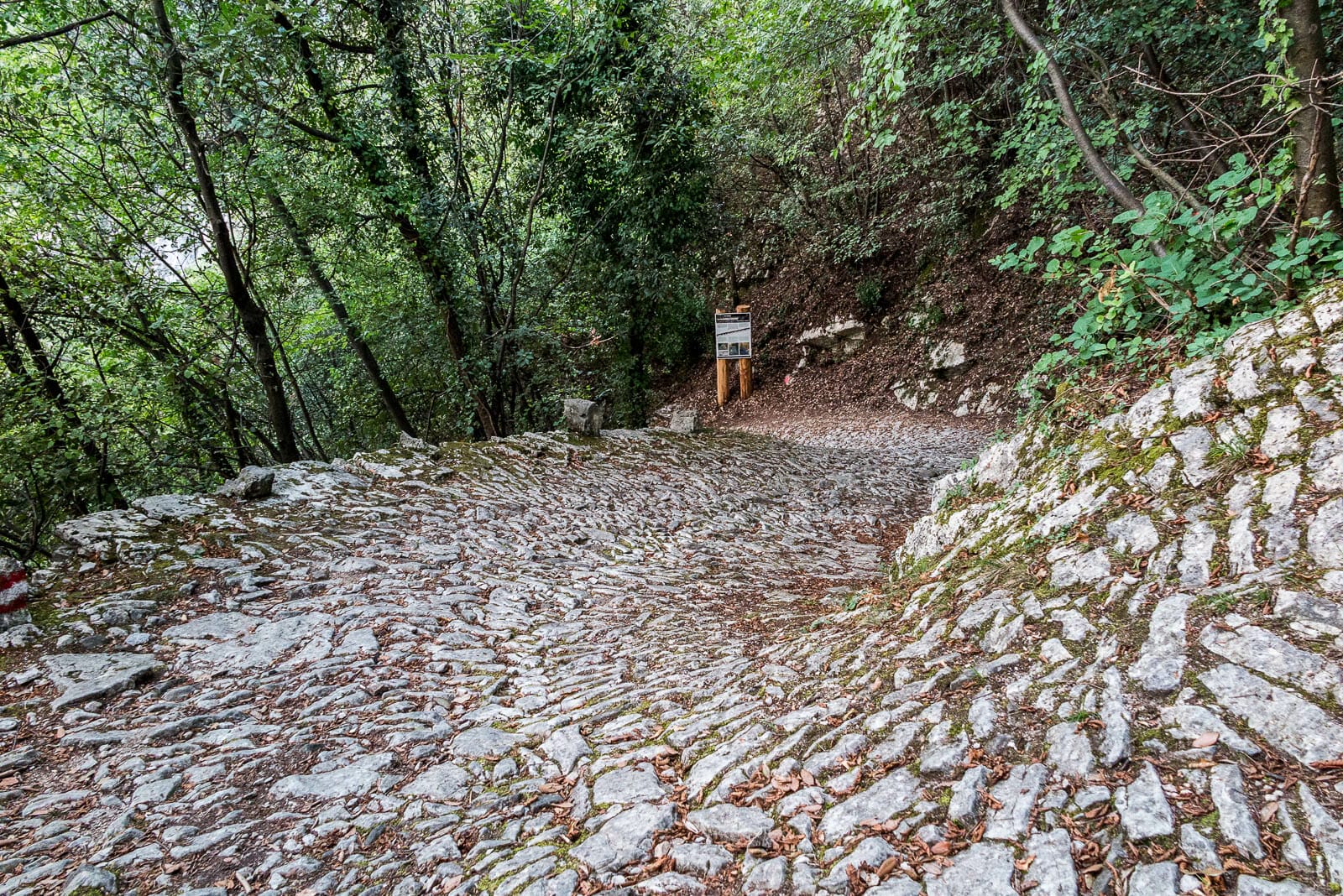 Lake Garda Trekking route from Malcesine to San Michele and back