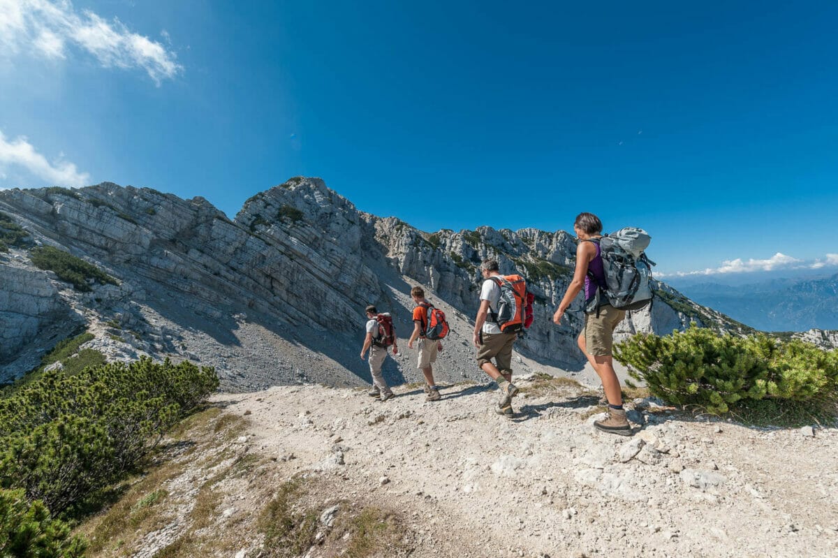 verso cima del longino