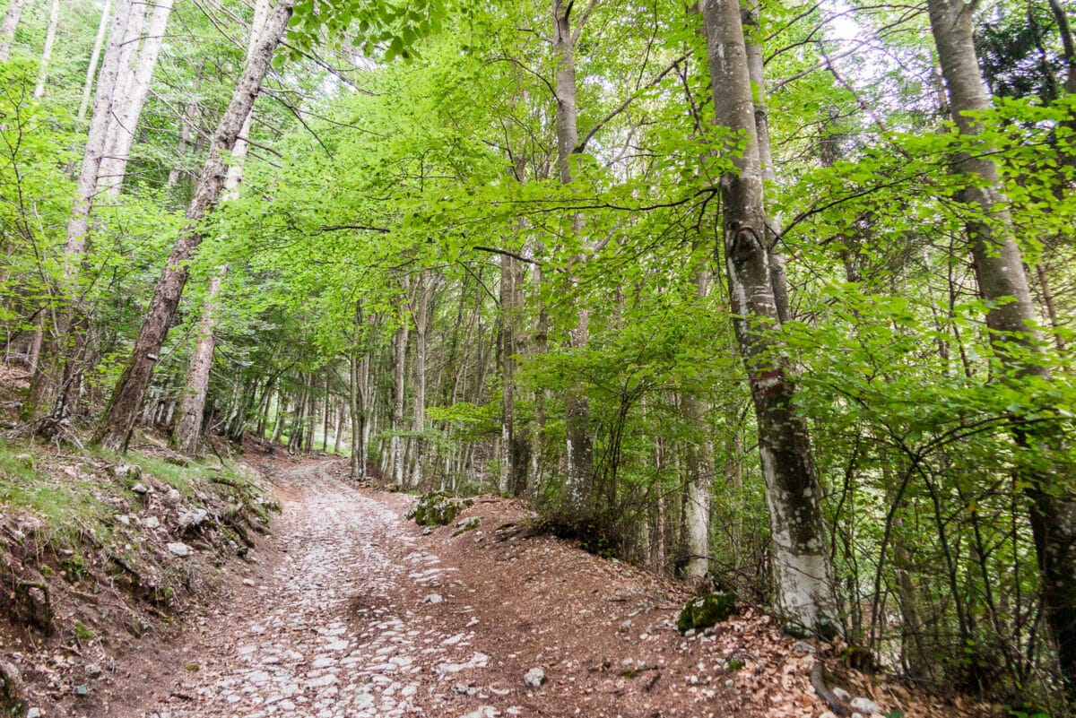 salita a piedi in riserva monte baldo