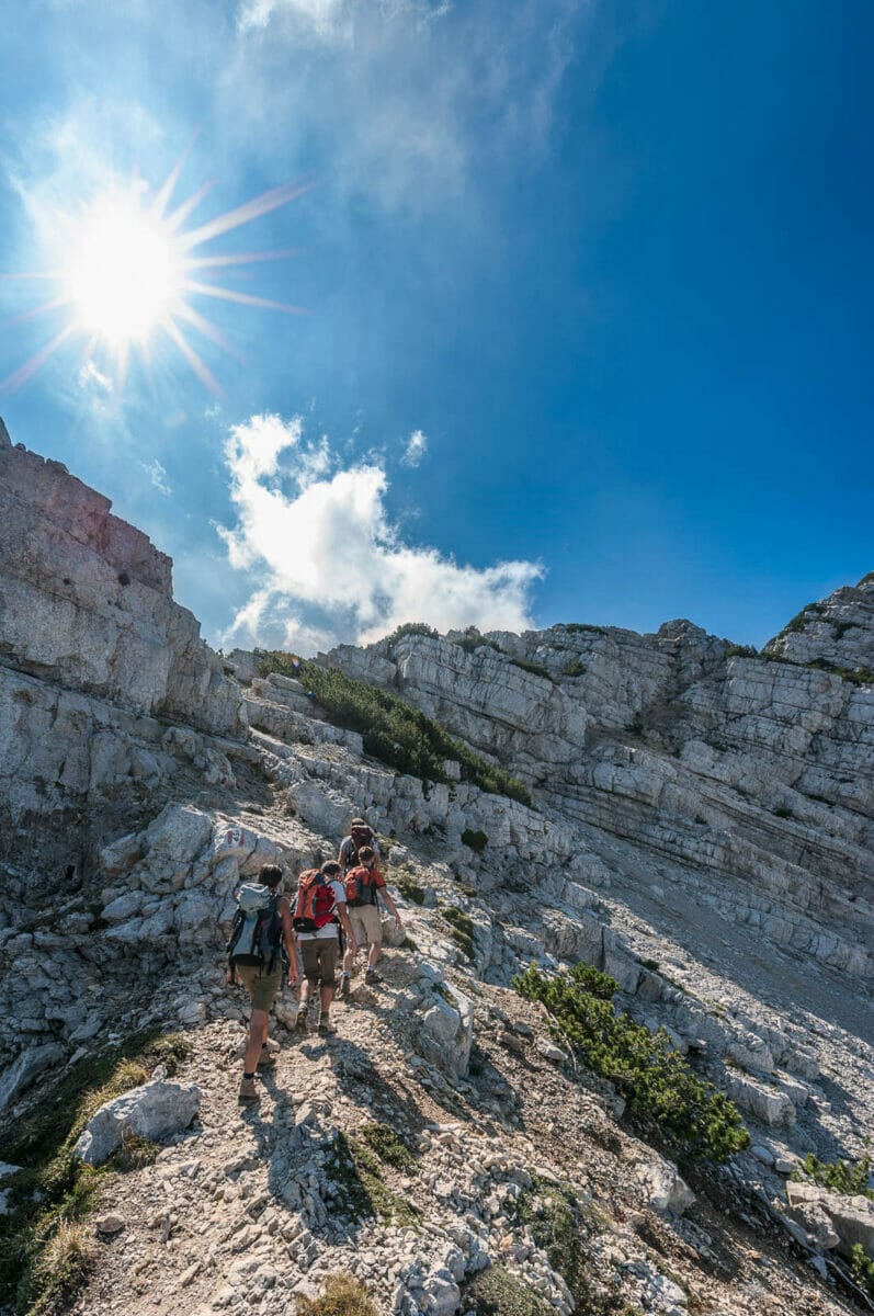 verso cima del longino