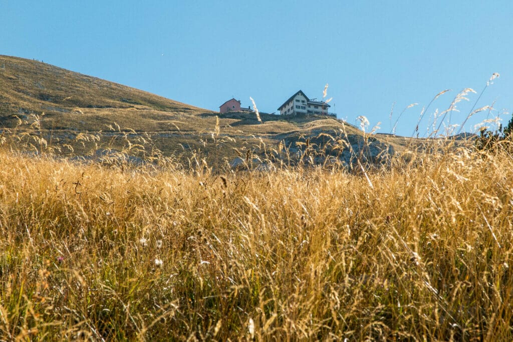 monte baldo trail 654 alm and meadows