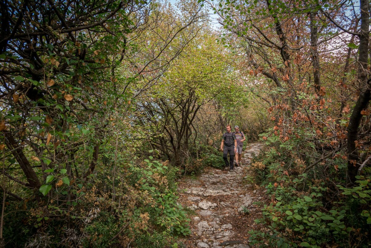 strecke 37 in san zeno di montagna