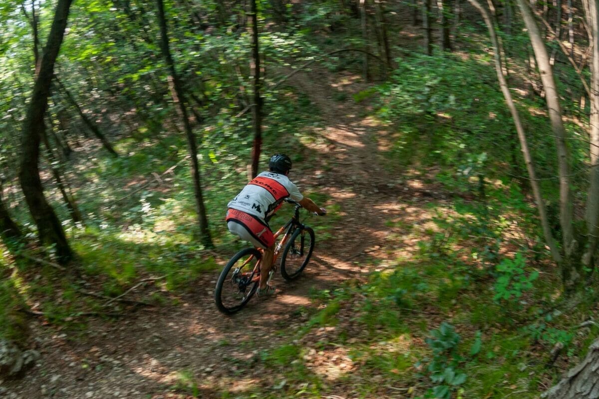 mit dem fahrrad im wald