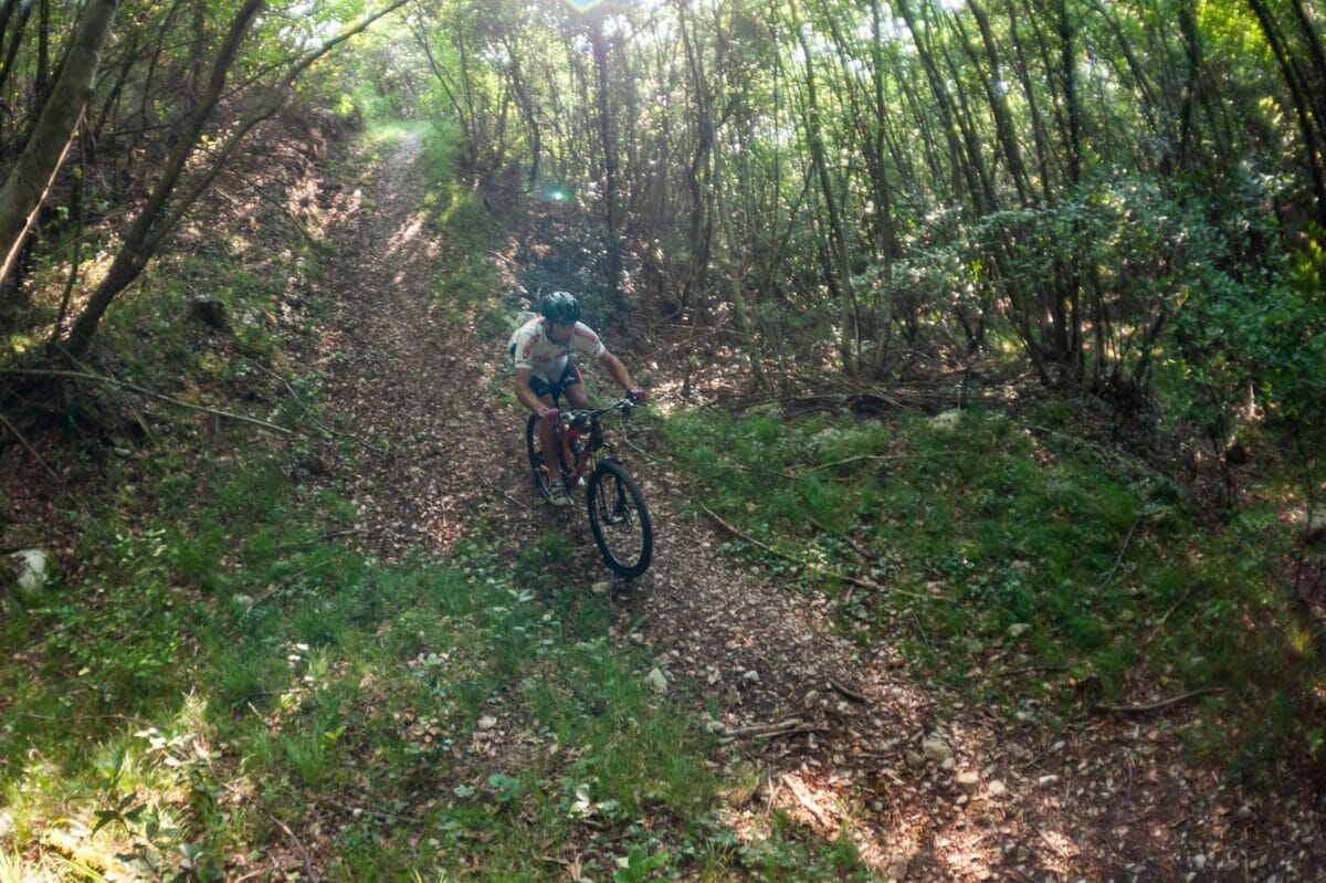 discesa nel bosco di navene