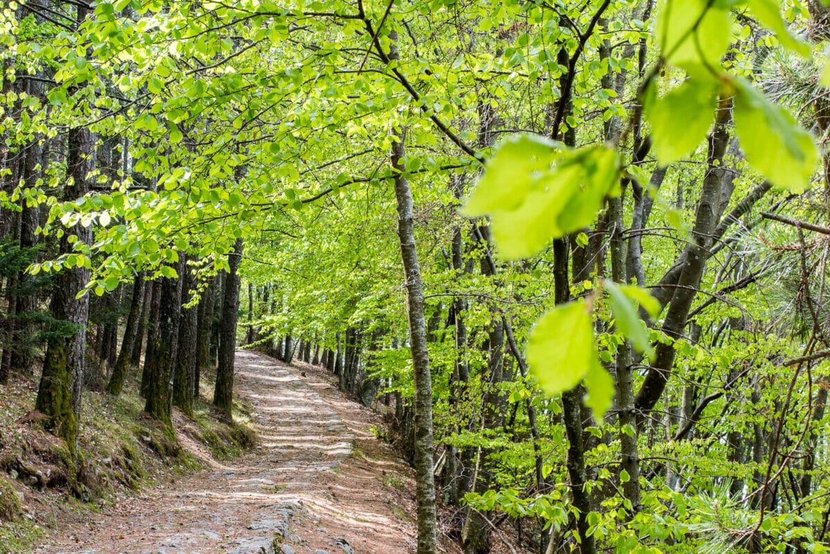 04 monte baldo nature reserve 360gardalife 1200x801