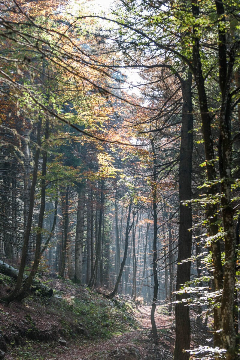 monte baldo naturschutz gebiet herbst