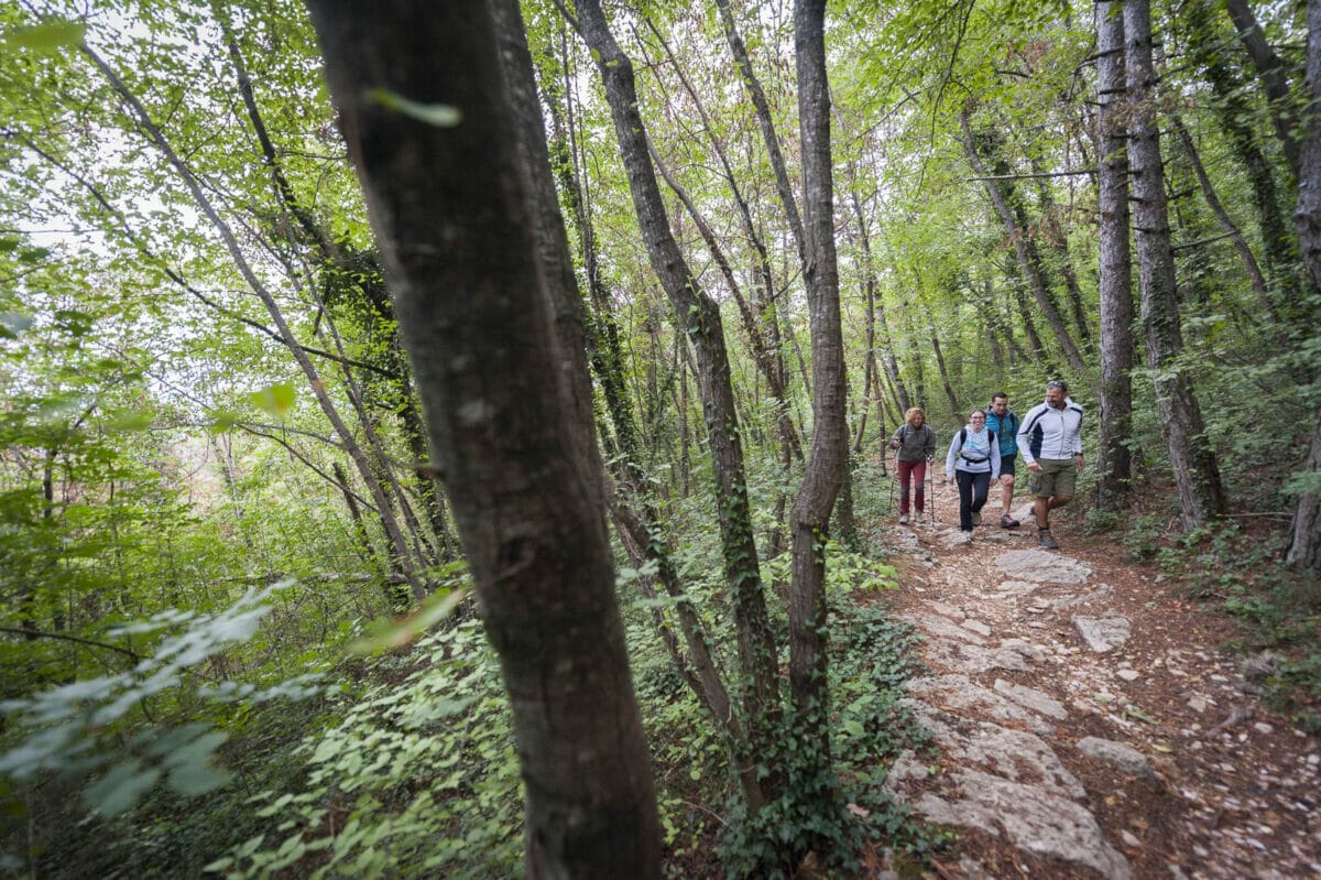 trekking sul sentiero nel bosco