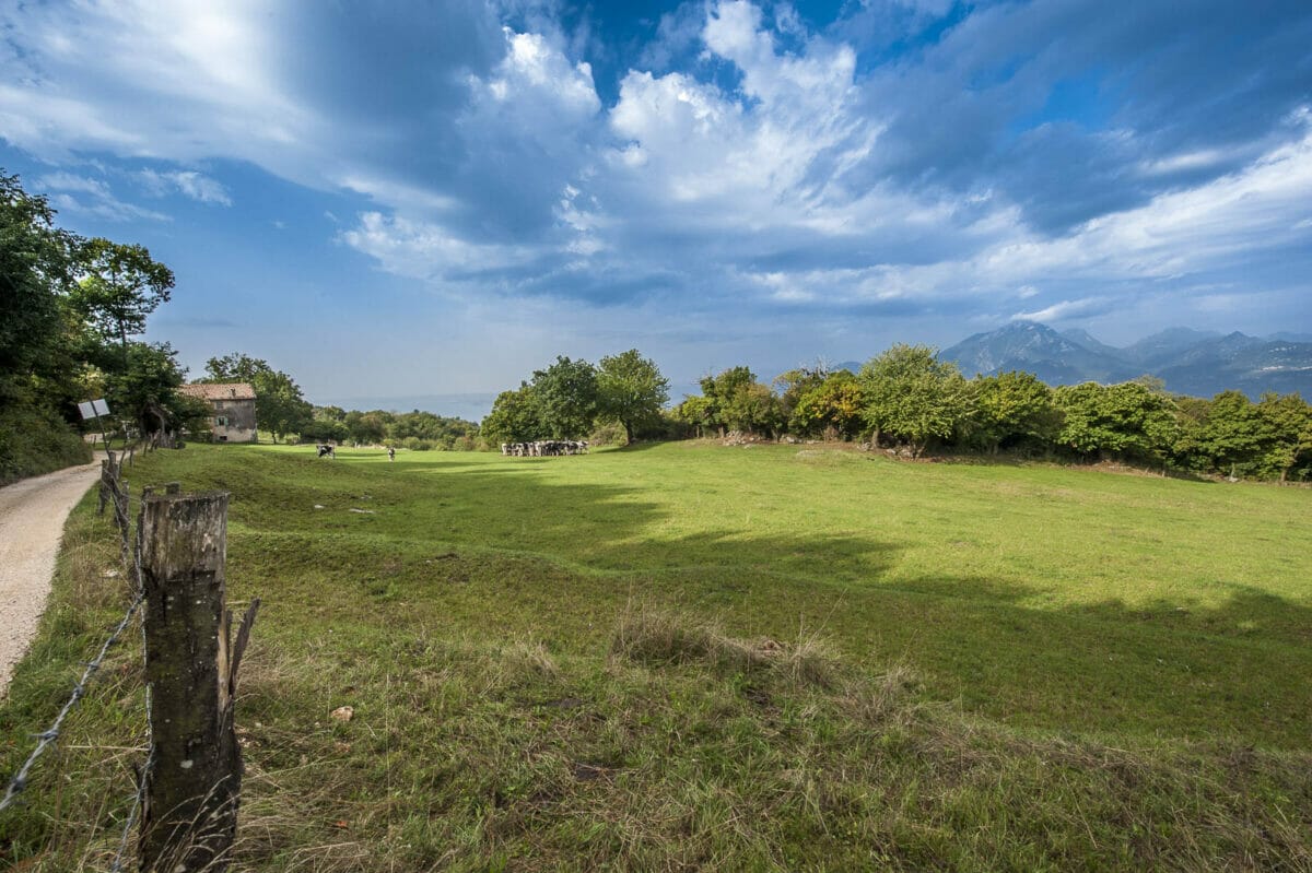 sentiero e campi a san zeno di montagna