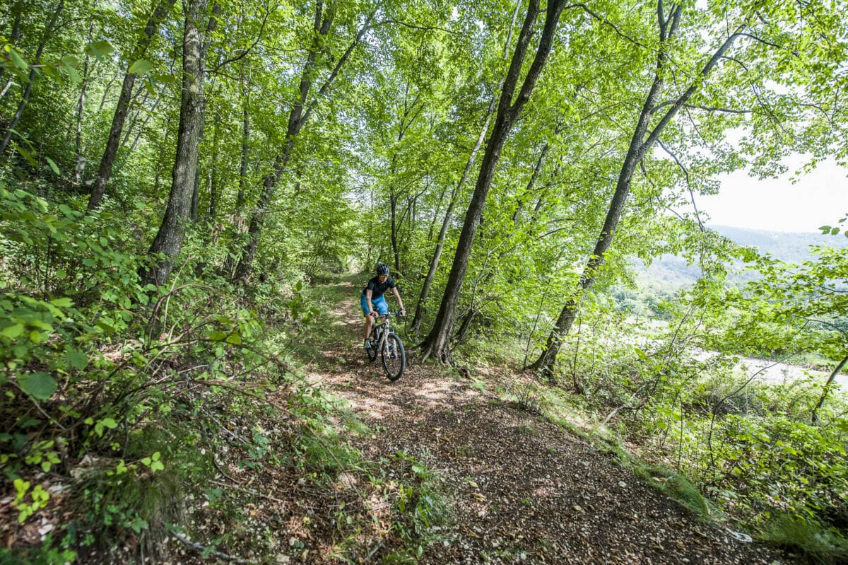 fahrrad bergauf im wald