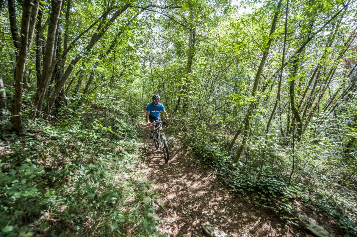 fahrrad im wald weit