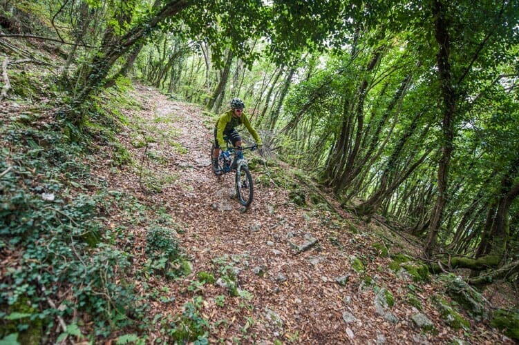 multierpfad route 654 mit dem fahrrad