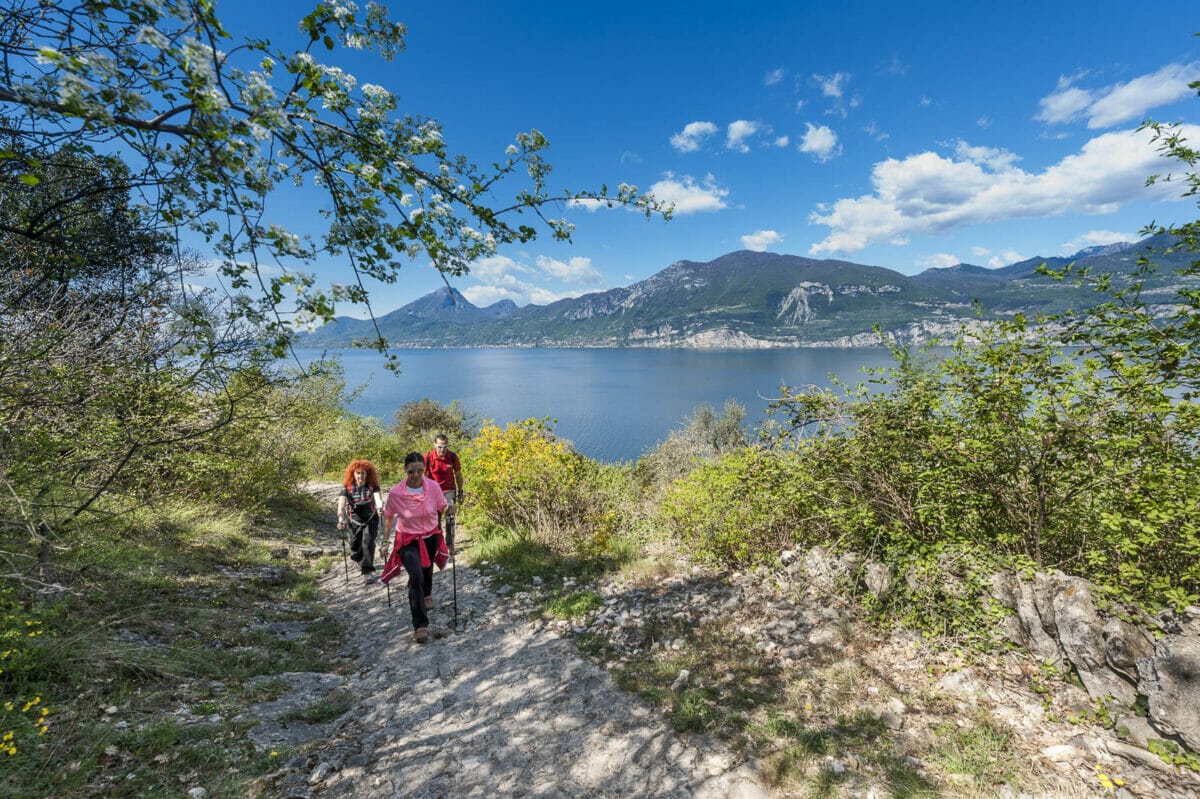 sentiero nordic walking brenzone vista lago
