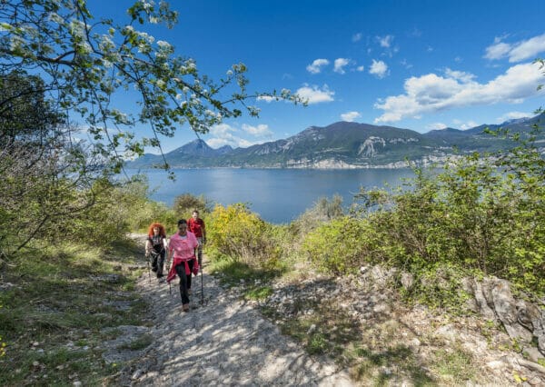 nordic walking trail in brenzone with lake view