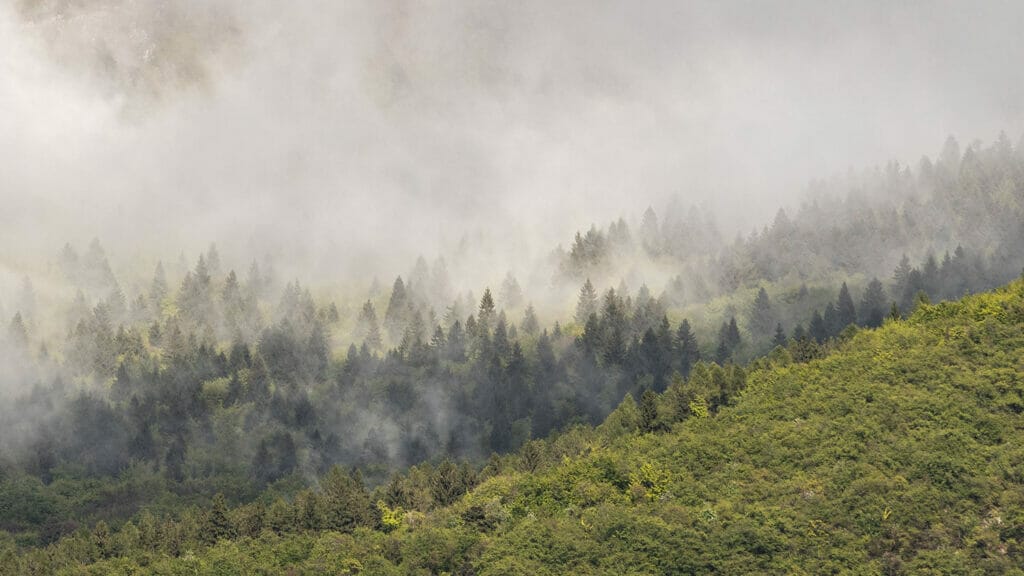 bosco natura 360gardalife 1024x576