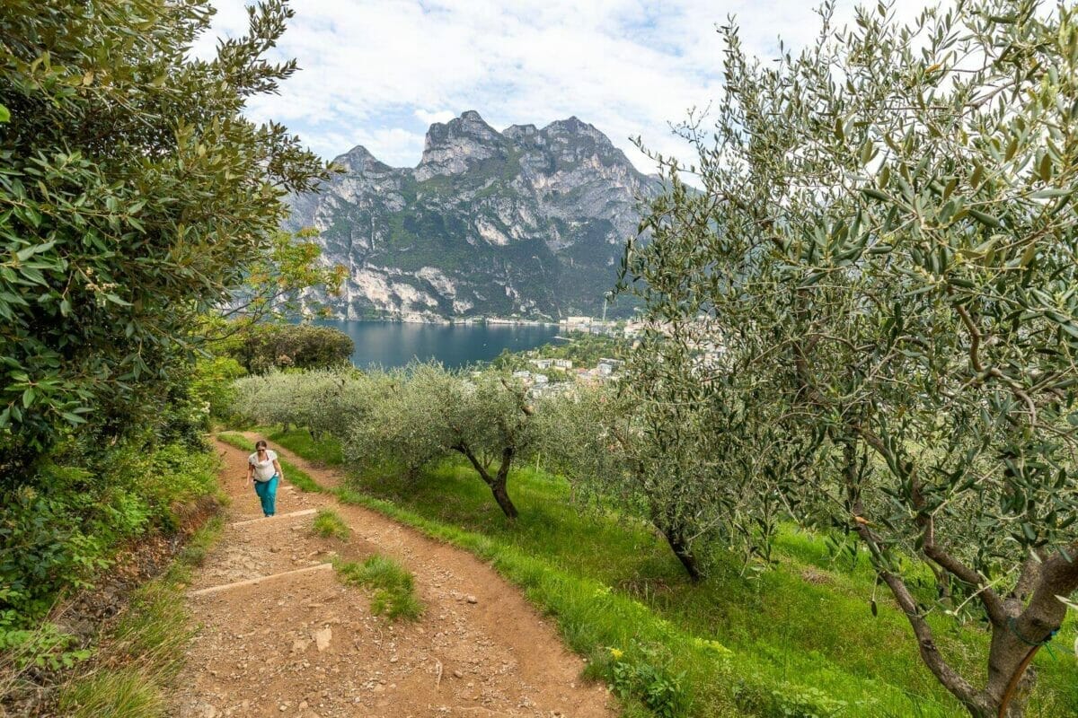 Salita al Monte Brione