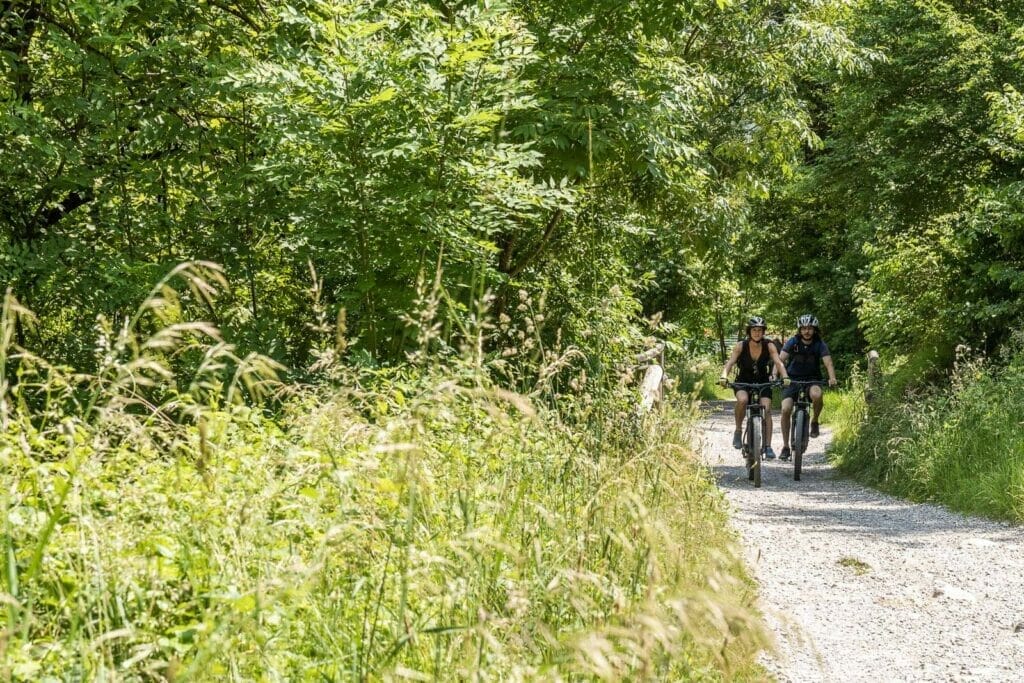 percorso bici nel bosco