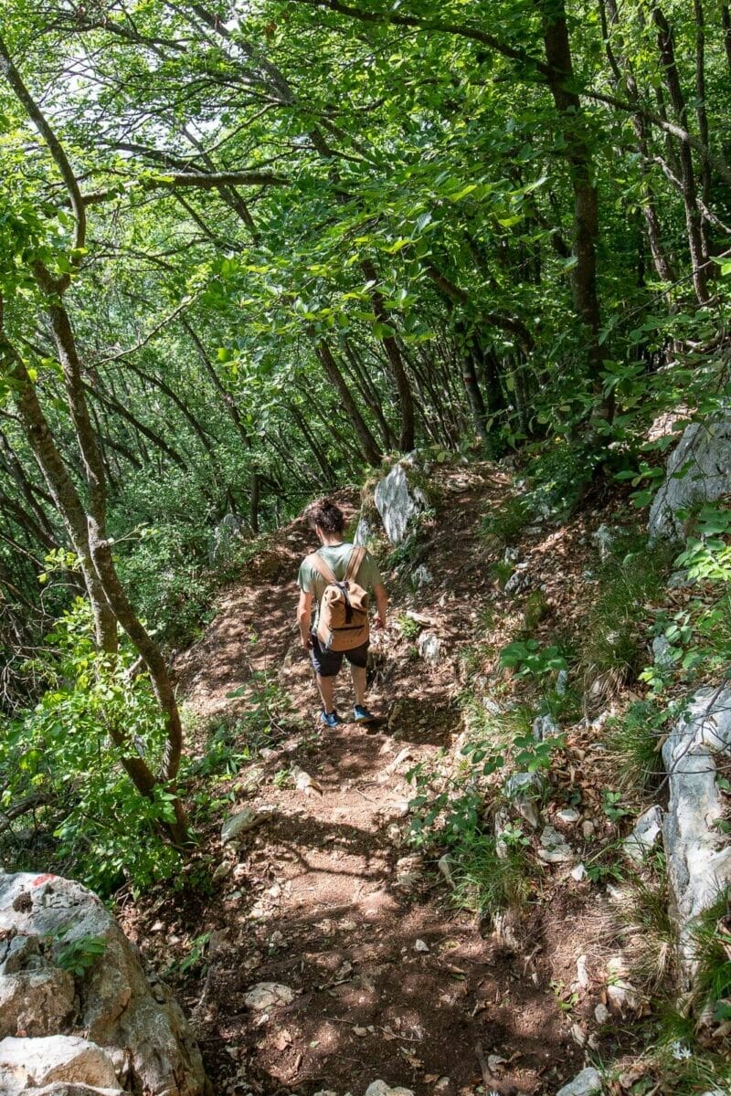 Abstieg in den Wald
