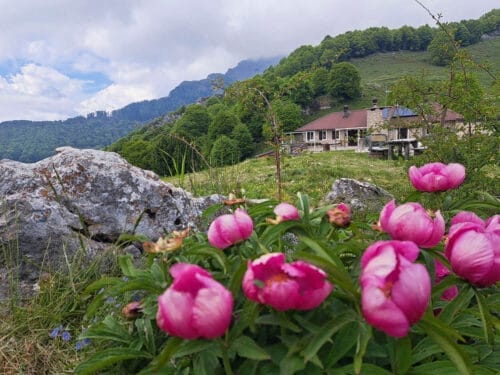 Rifugio Baita Fos-Ce auf dem Monte Baldo, dem Garten Europas